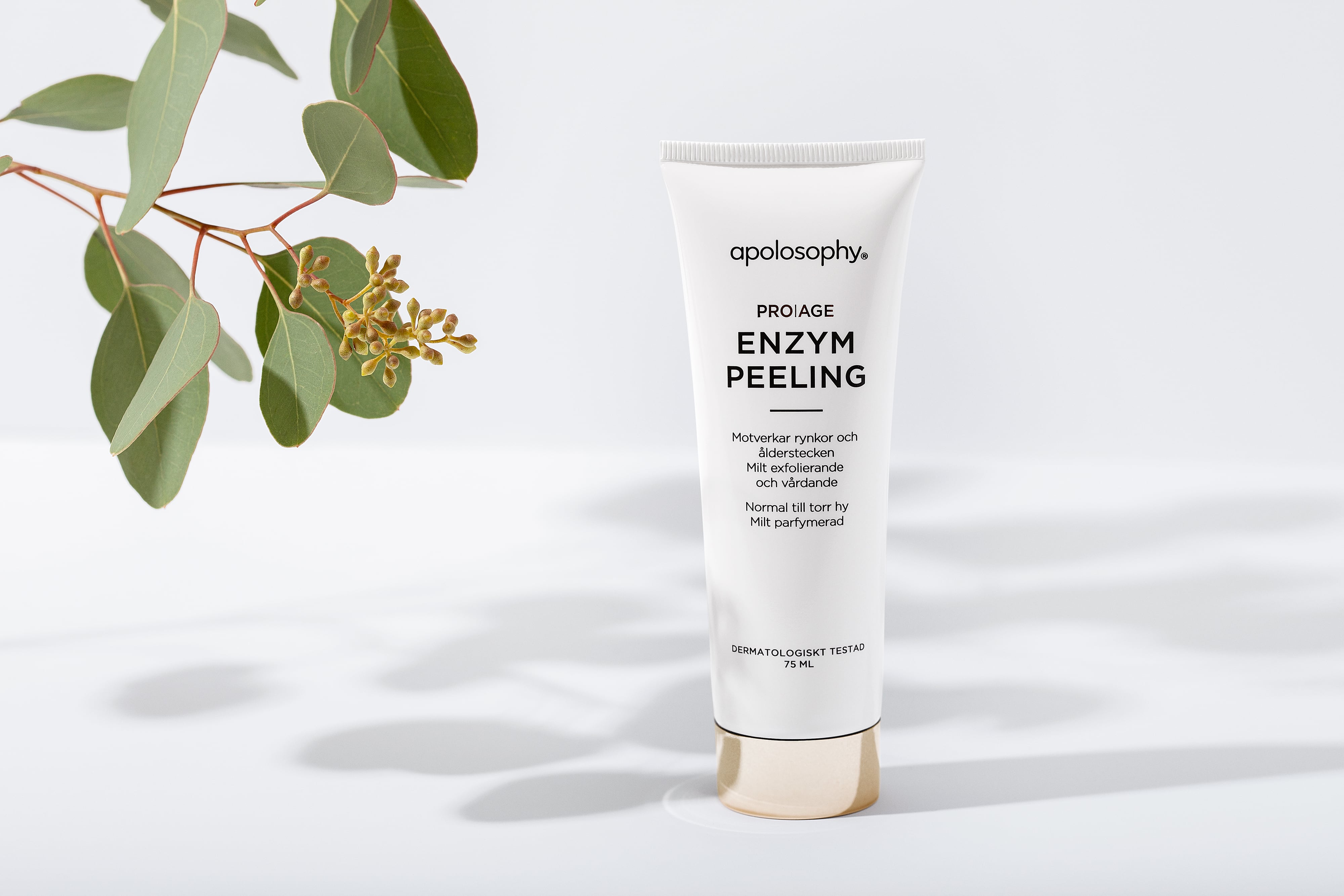 Apolosophy Packaging Design